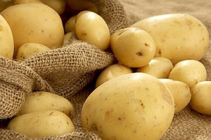 Клубни для высокоурожайного выращивания картофеля.