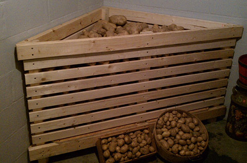 Как правильно хранить картофель зимой.