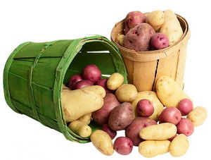 Высокоурожайные способы выращивания картофеля.